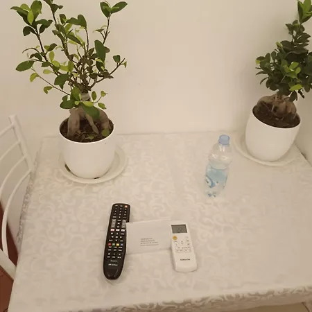 招待所 Star 罗马
