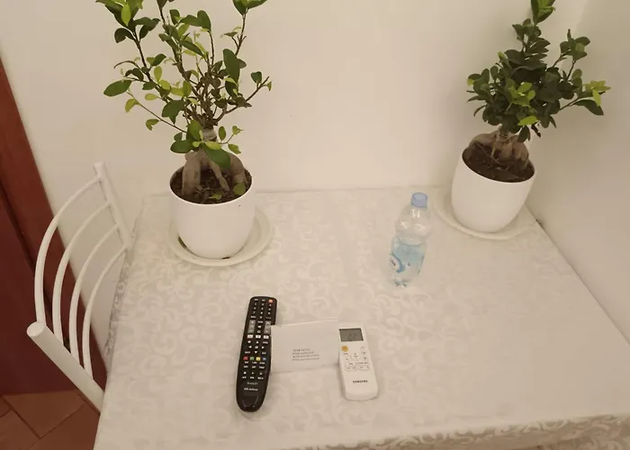 بيت ضيافة Star روما